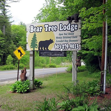 Bear Tree Lodge Weirs Beach Eksteriør bilde