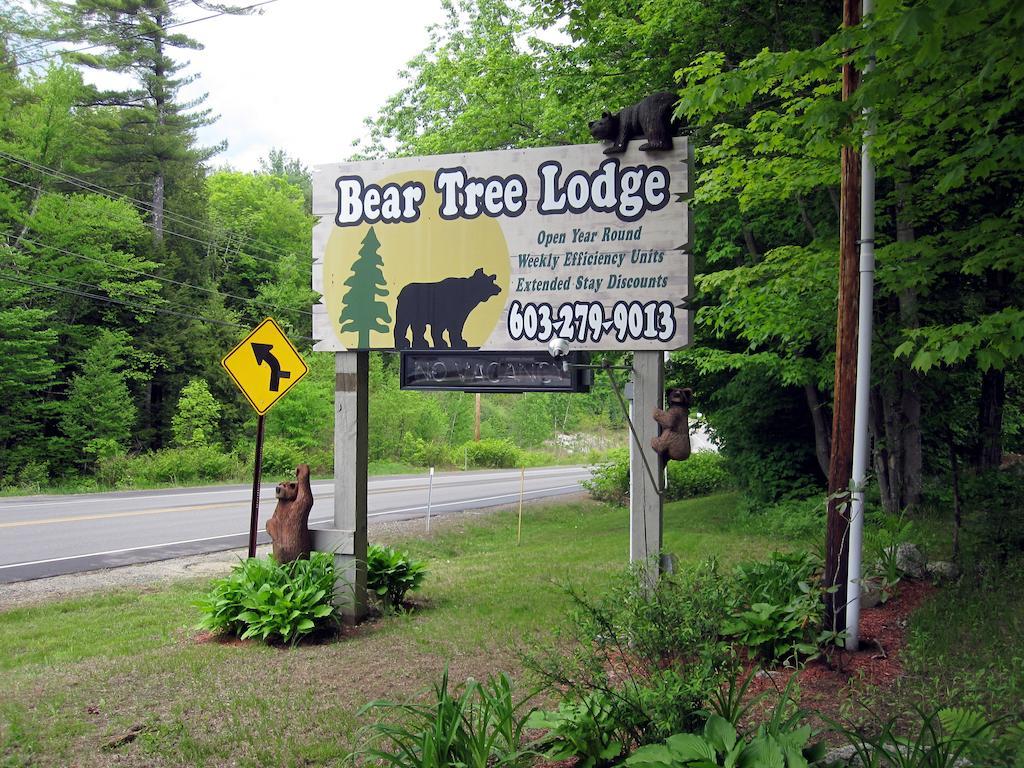 Bear Tree Lodge Weirs Beach Eksteriør bilde